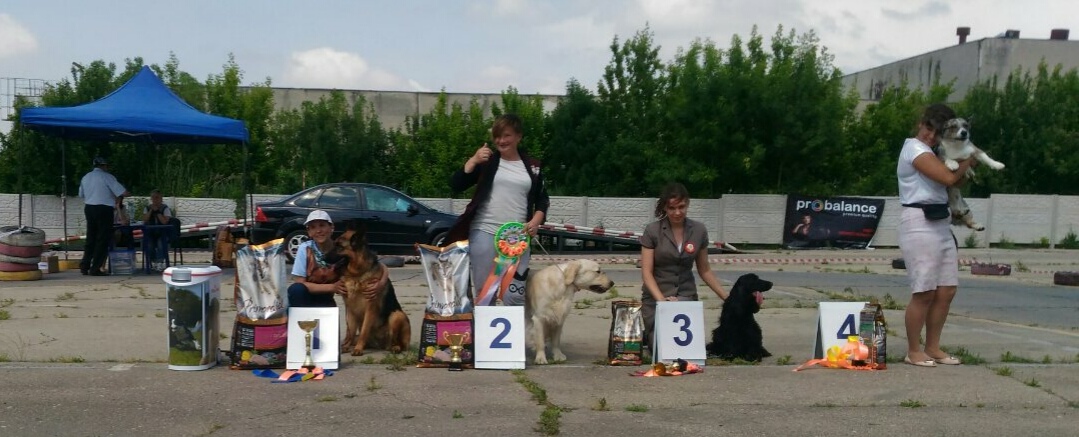  ркф 26.05.2018г 2.jpg